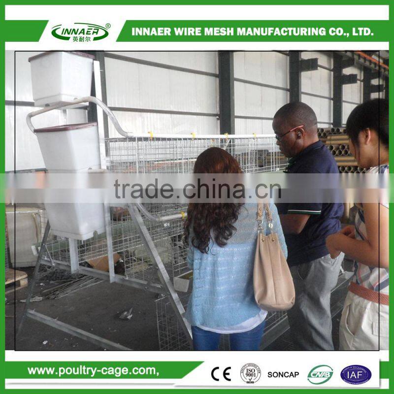 Hot Sale for China Egg Chicken Cage(ISO9001) for Poultry farming
