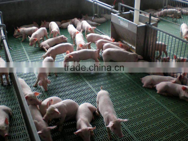 Hot dipped galvanized Pig nursing crate