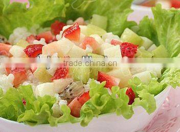 Restaurant Use Fruit Dicer Cutter
