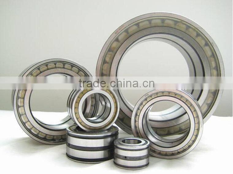 SL18 Series filled cylindrical roller bearing for electric motorcycle