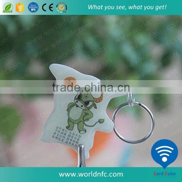 ISO14443A Printable NTAG213 NFC Epoxy Key Tag for Promotion