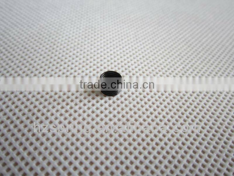 Black Oxide Torsion Spring