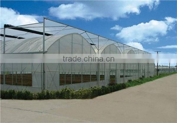 High quality 12m multi-span agriculture plastic greenhouse for vegetables