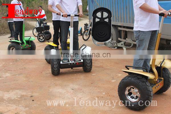Leadway 2400W The tire: 19Motor power 2400W6 groups gyroscope electric chopper bike off road( RM09D-T565)