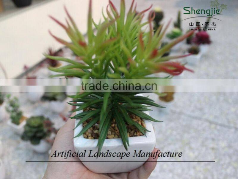 mini succulent plants potted plants for decoration