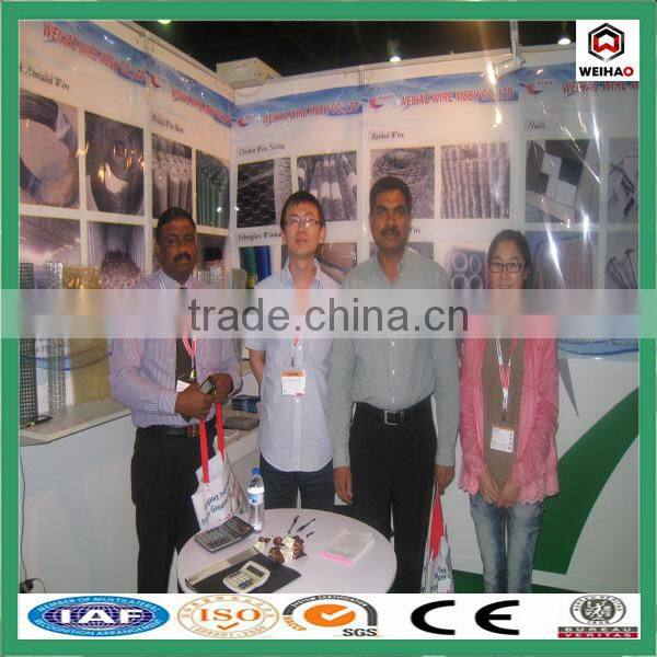 High quality hard Steel Common round wire nails supplier from China