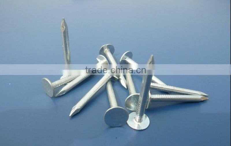 Iron roofing felt nails