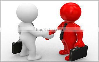 Lace vestidos dress for women fashion lady mesh dress