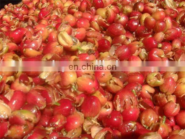 China Coffee Bean Huller Coffee Bean Peeller with cheap price