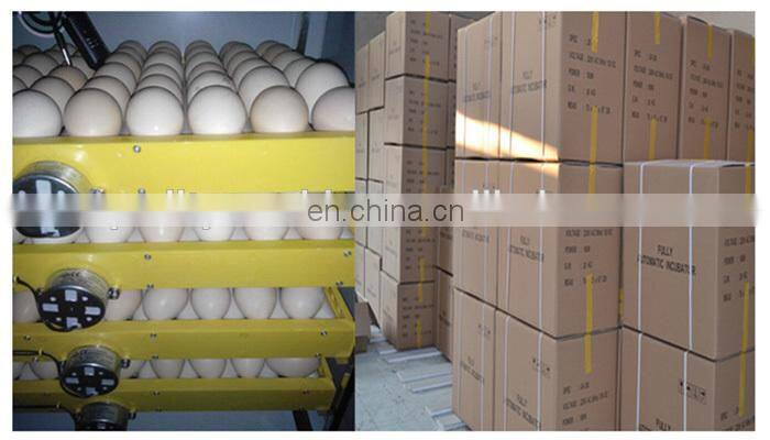 Automatic Chicken Egg Incubator For Sale