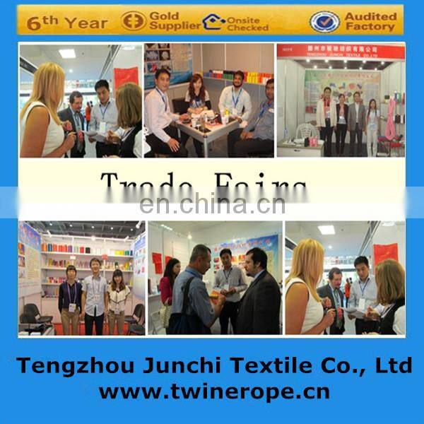 Factory Directly wholesale pp/nylon/polyester multifilament  twist twine