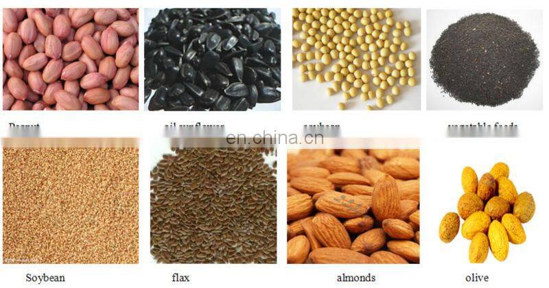 Gold supplier best quality screw type olive vegetable feeds oil making machine price
