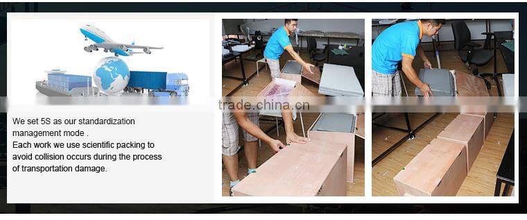 3d acrylic material architectural model with modern design and nice landscape