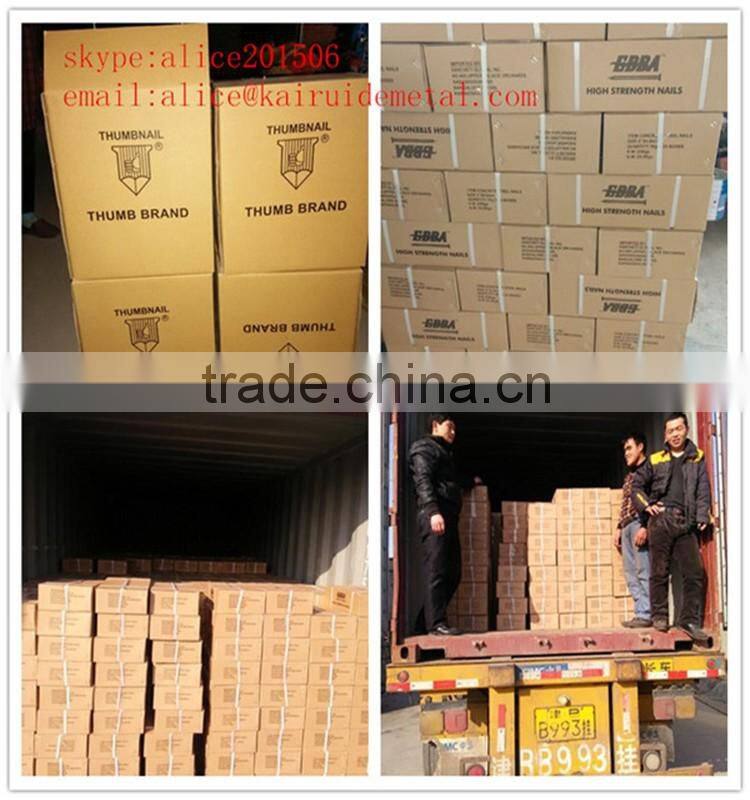 fcotry15 years high quality wood nail common nail Iron materials/common iron nail