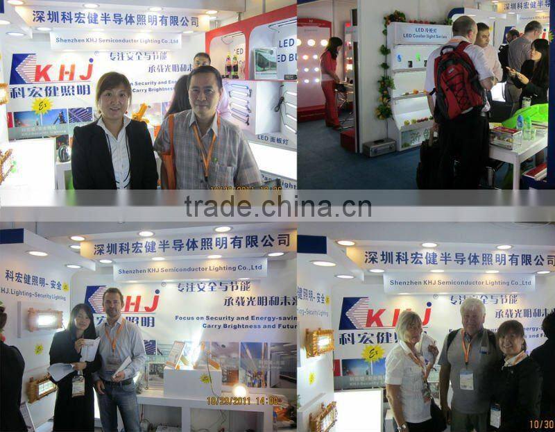 HOT!!! Outdoor High Efficacy 30w IP66 LED Explosion Proof Floodlight