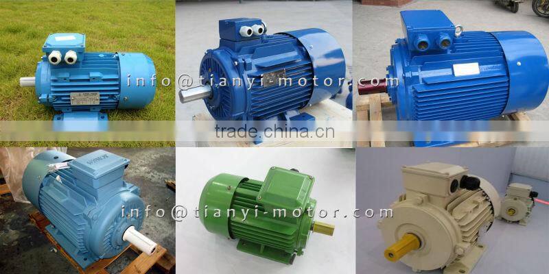 B3 Mounting For Y2 Electrical Motor