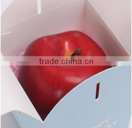 DW-G1807 Cute cartoon Christmas apple box