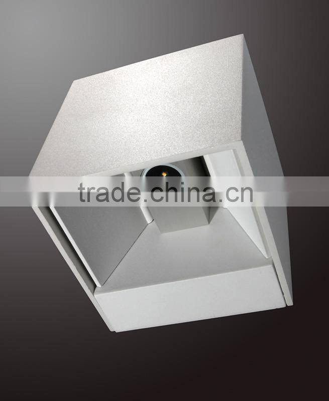 WWS0202-2 adjustable indoor/outdoor led wall light