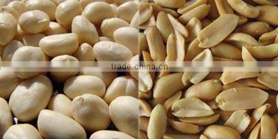 Advanced Peanut Blancher, Hazelnut Blancher, Roasted Whole Peanut Blancher, Continuous Blancher, Food Processing Equipment 1TPH