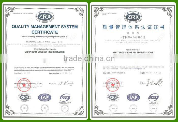 3.0mm/4.2mm factory price whole sale laminate door skin