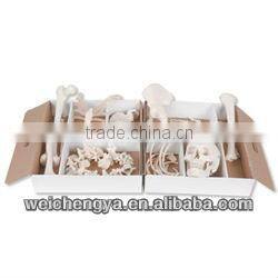 Disarticulated Skeleton With Skull Model