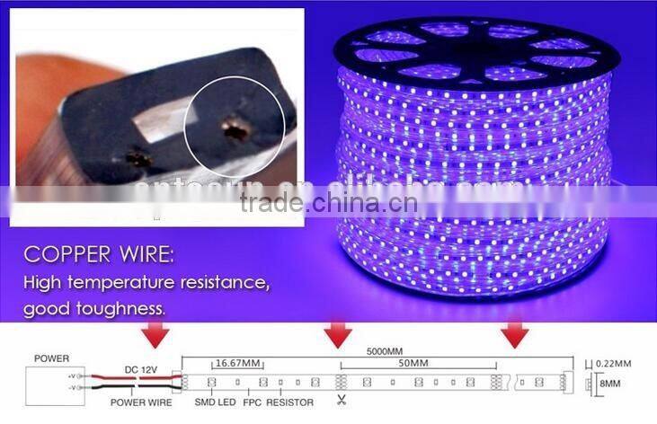Chasing Led Rope Light High Quality High Brightness 5050/2835/5730 Led Strip Light 100m/50m/Reel Lightning With High Voltage Rgb