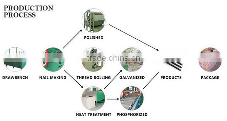 Best Hardened Steel Concrete Nails With Factory Price