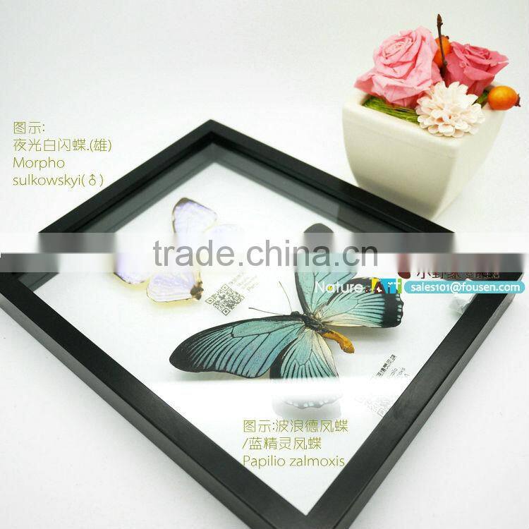 FOUSEN(040) Nature& Art natual home decoration supplier glass butterfly wall decorations