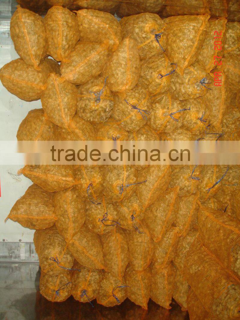 Ginger Vietnam