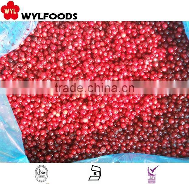 china good price for frozen lingonberry