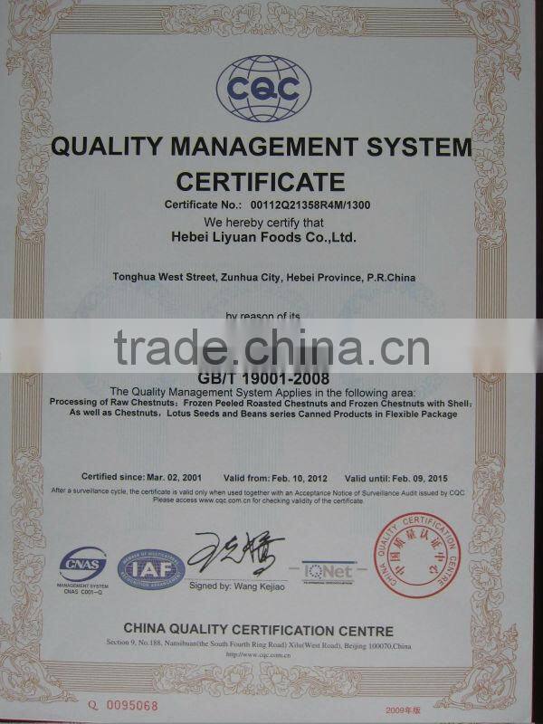 xinjiang chinese dates Jujube