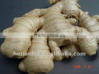 wet skin fresh ginger