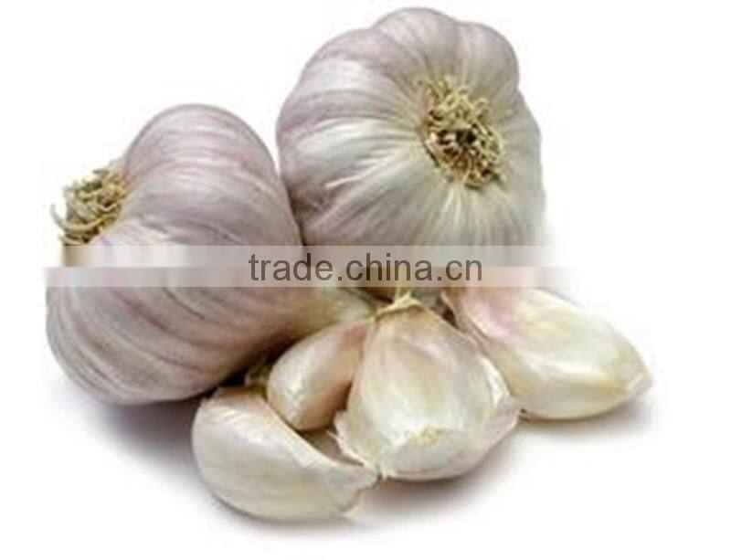 Pure white garlic (snow white garlic, super white garlic)