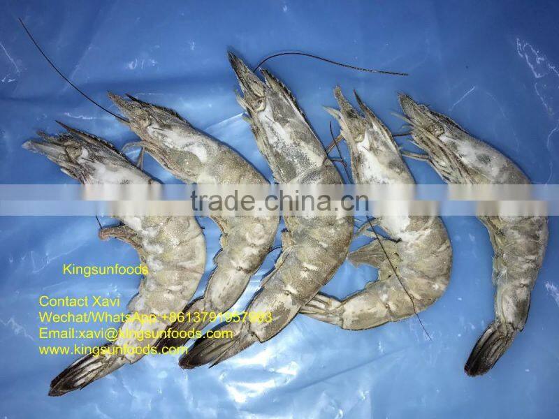 Grade A HOSO Vannamei,Shrimp Vannamei From India