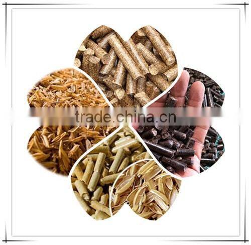 Small Capacity Flat Die Pellet Mill for Sunflower Seed Husk