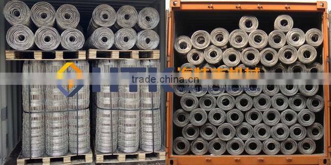 Direct Factory Hot Sale Galvanized Prairie Farm Guard Field Fence