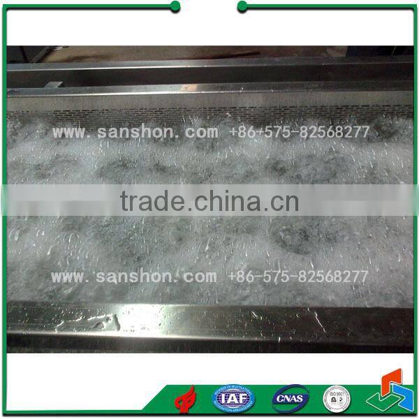 Vegetable and Fruit Washing Machine Bubble Vegetable Washer Machine