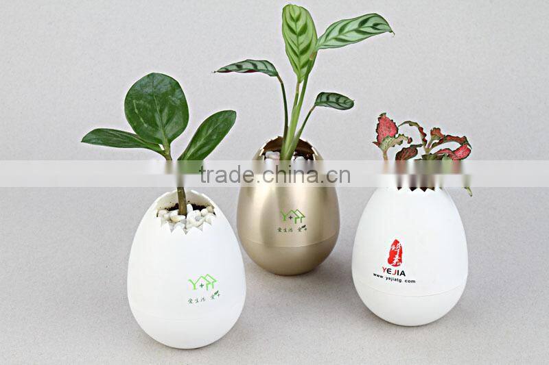Office desk flower pots,plastic decorative flower pots,plastic flower pots from china
