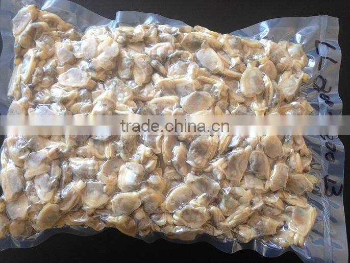 Korea class short necked clam