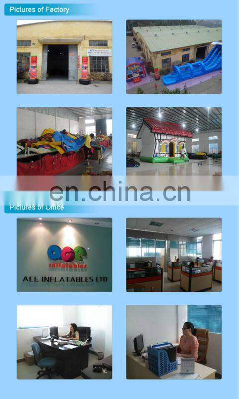 wet&dry shark inflatable combo