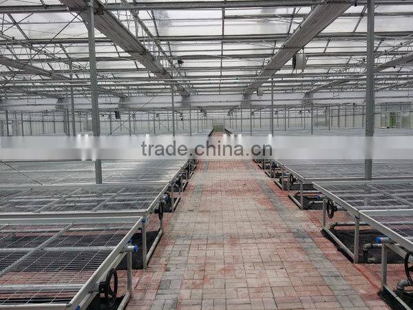 Multi-layer Greenhouse Bench