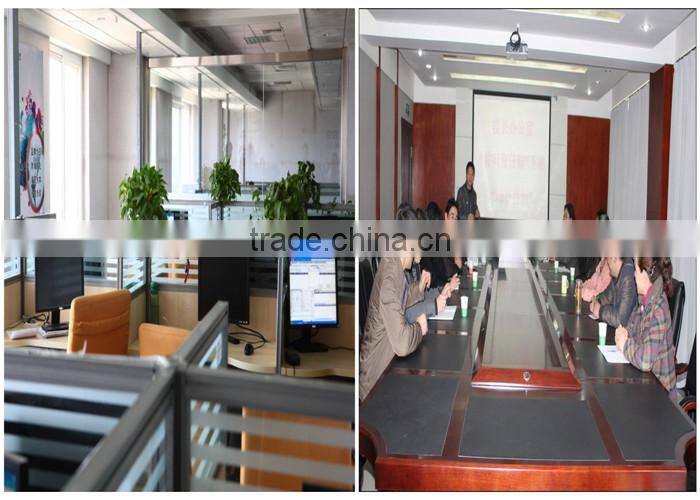 HAN700 Solar Flash/steady dash light