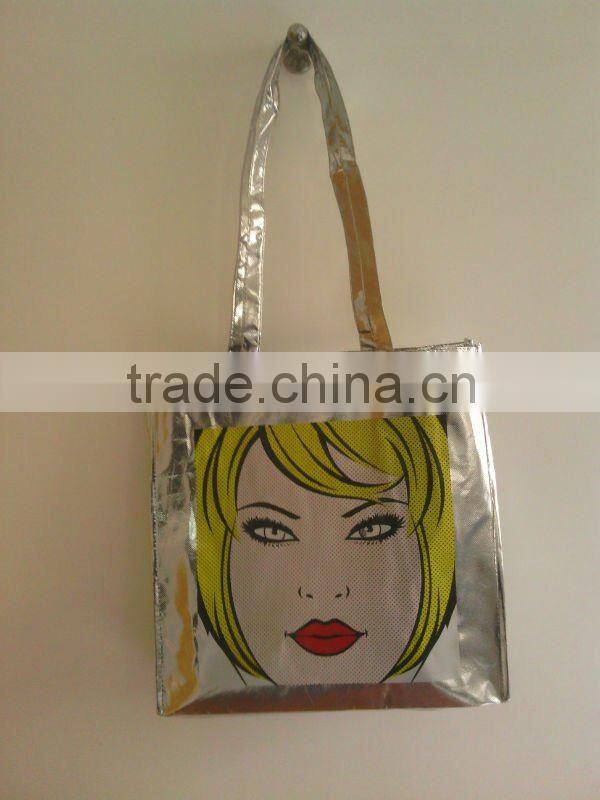 pp non-woven shopping carry bag