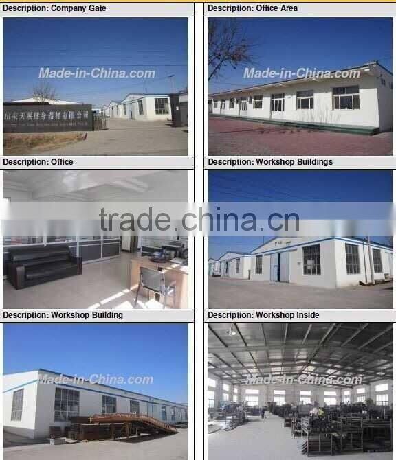 Strength Machine Gym Fitness Equipment / TZ-4022 Glute Machine