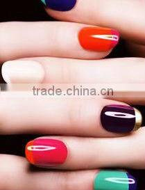 gel uv nails gel color polish UV&LED color gel