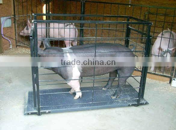 pig scale hogs scale Livestock Scale