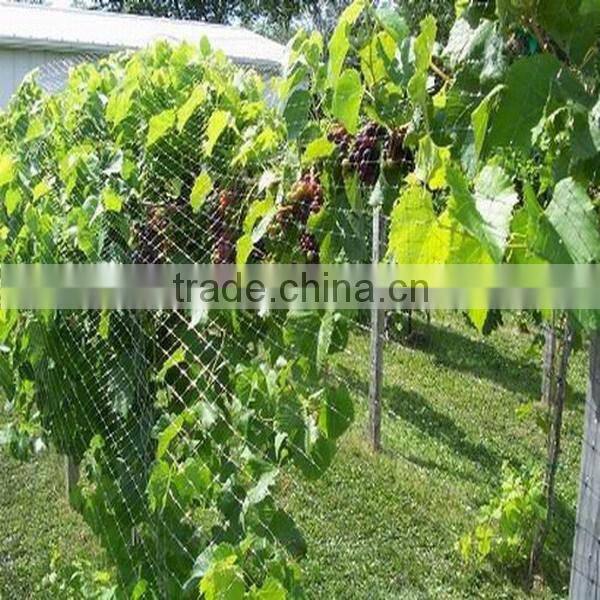 white color round wire new hdpe anti bird net protection vineyard,garden protection white anti bird net