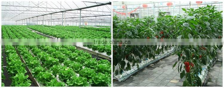 Huminrich High Grade Leonardite Agri Organic Fertilizer Drip Irrigation System