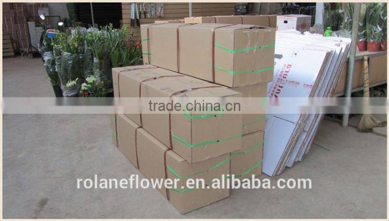 Quality wholesale yellow natural orchid flower with 0.3kg/bundle from Yunnan, China