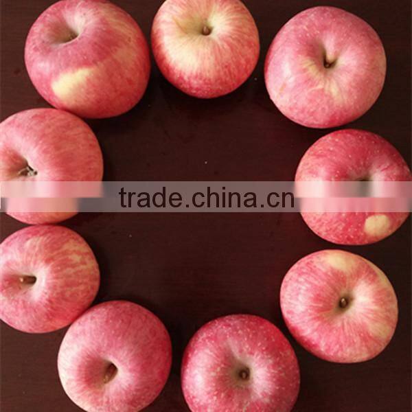 Best selling nutritious Apple Fuji Apples Chinese Fuji Apple